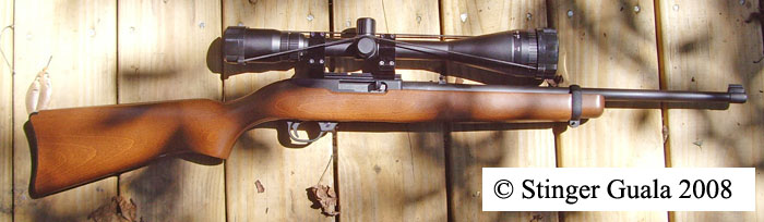Stock Ruger 10/22 scoped